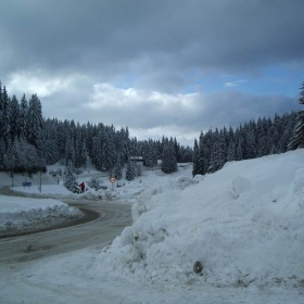 PAMPOROVO