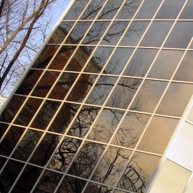 mirror