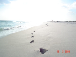 Footprints in the sand, Florida