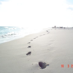 Footprints in the sand, Florida