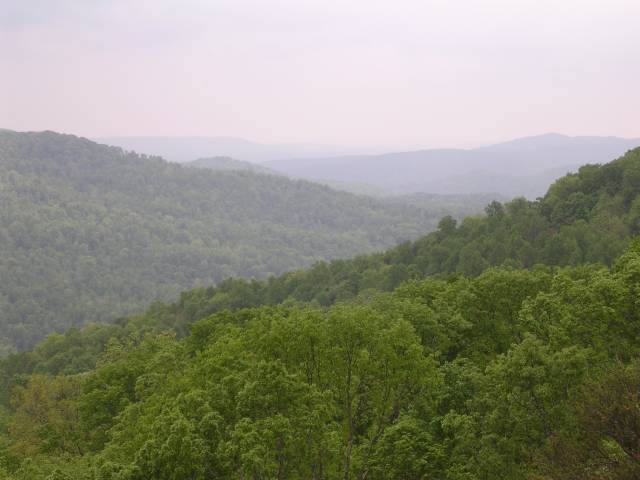 Bee Rock, Tennessee