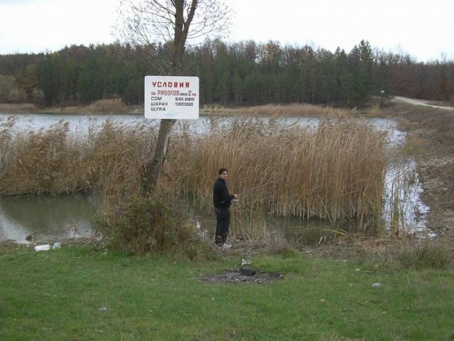 Ами сега...