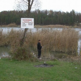 Ами сега...