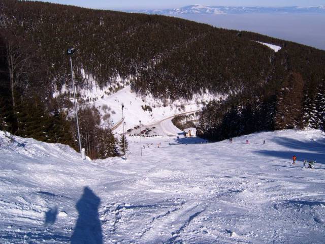 Na laleto