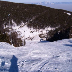 Na laleto