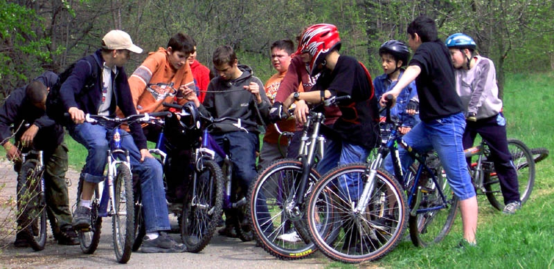 Банда BMX