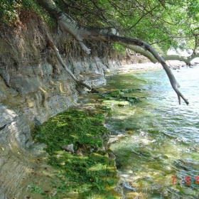 morski bryag