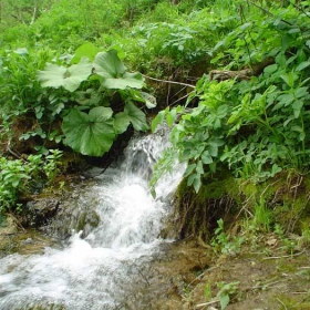 Към голямата река