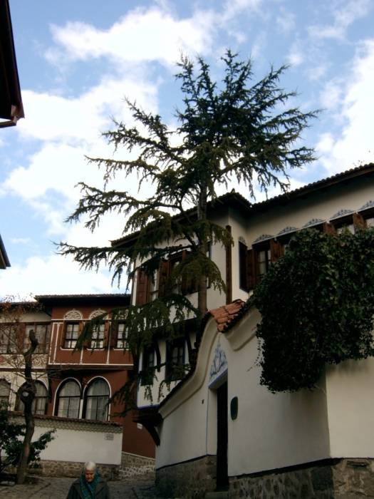 plovdiv 1 :)