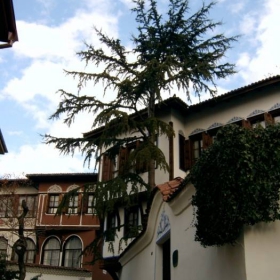 plovdiv 1 :)
