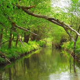 Walking down the river...