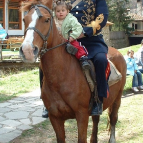 На кон с пашата