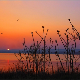 Sunset colors