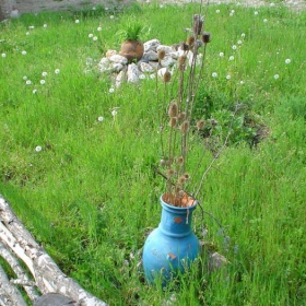 Бръшлянски двор