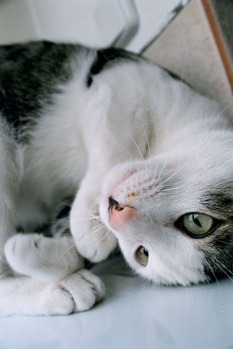 MOTI