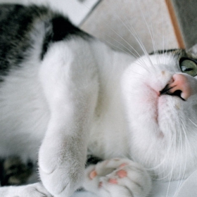MOTI 2