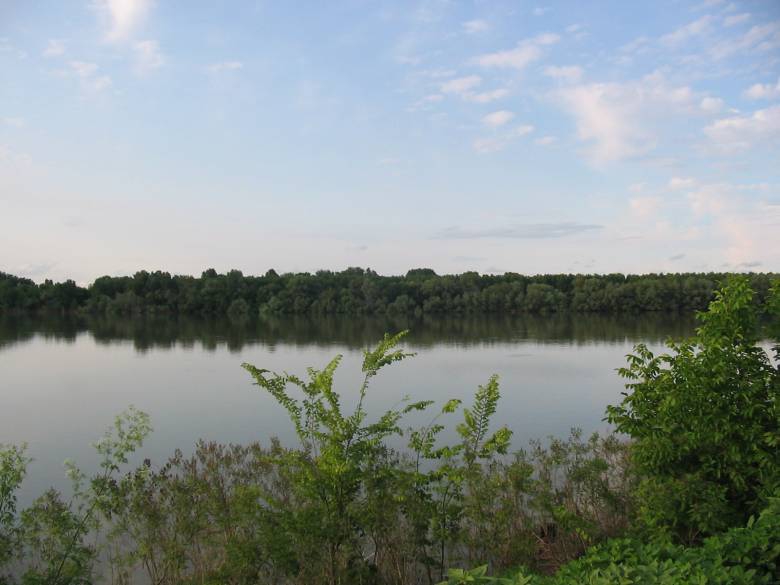 Дунав