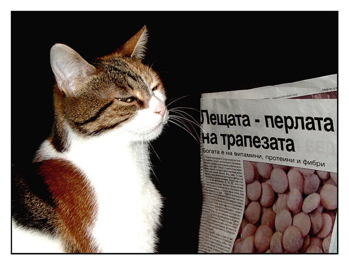 Не ме будалкайте