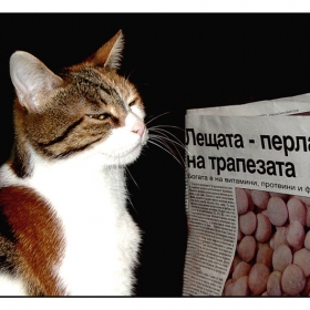 Не ме будалкайте