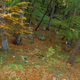 Гора