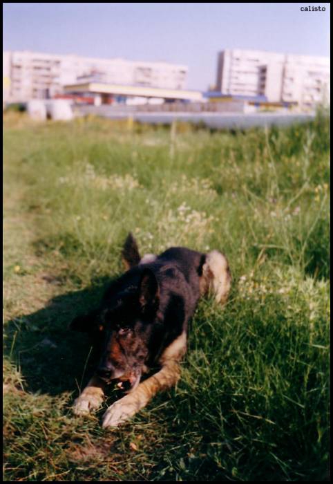Barry1