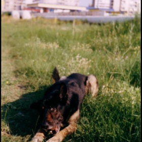 Barry1