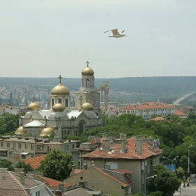 Центъра  2