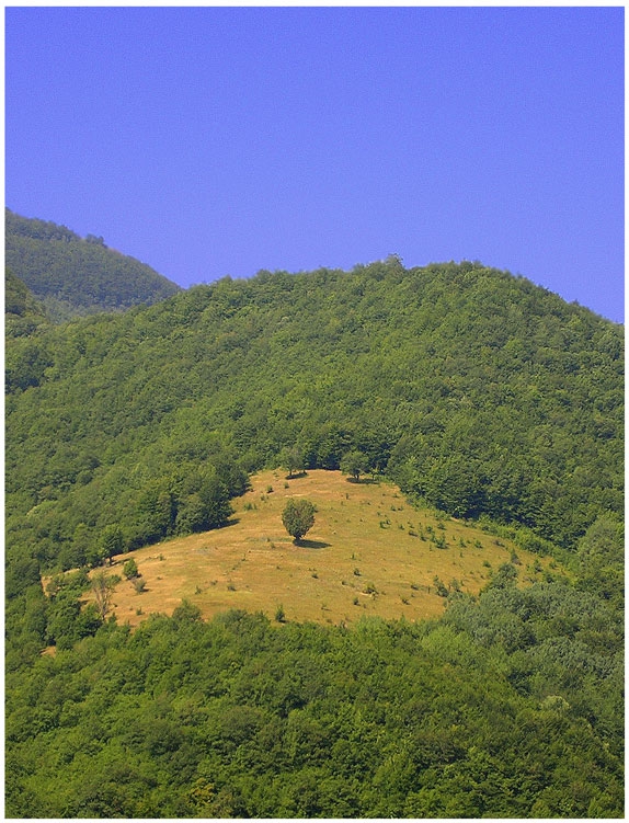 Самотен..