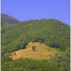 Самотен..