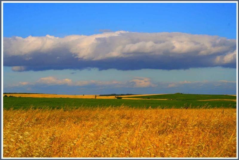 Някъде в полето