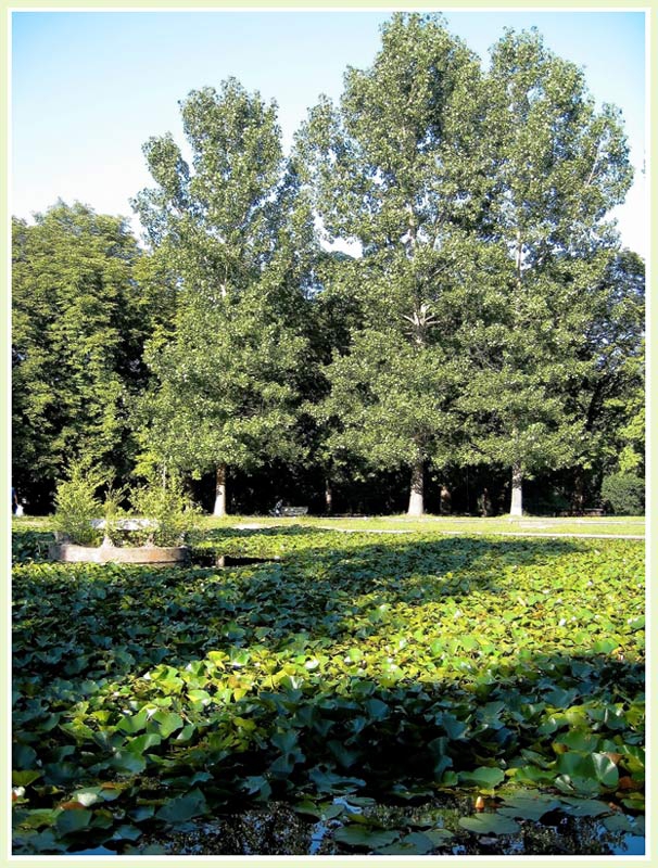 Кътче в любимия парк