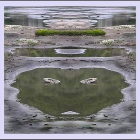 Face in the water