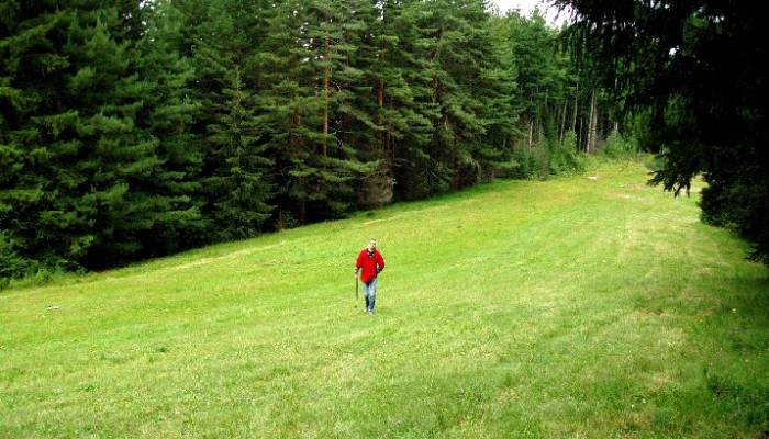 Red in Grean 1