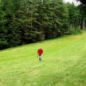 Red in Grean 1