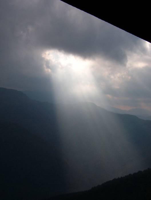 In nature's spotlight