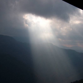 In nature's spotlight
