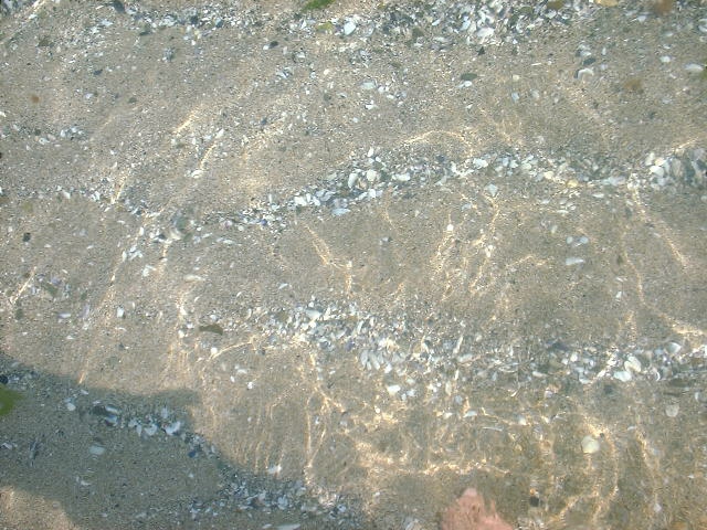 Морско дъно:)