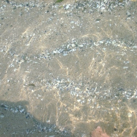 Морско дъно:)