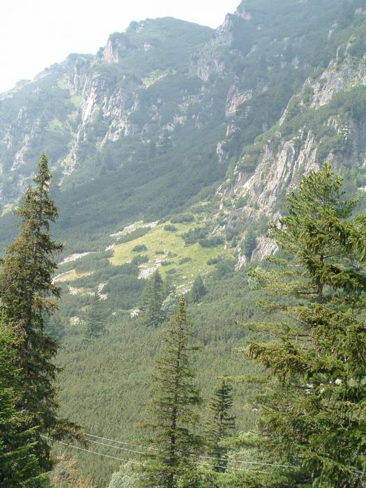 krasota