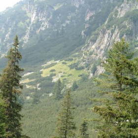 krasota