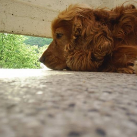 misli..