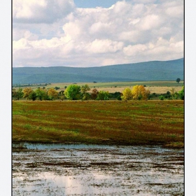 ... поплачи над моята красота ...