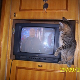 Здравей!