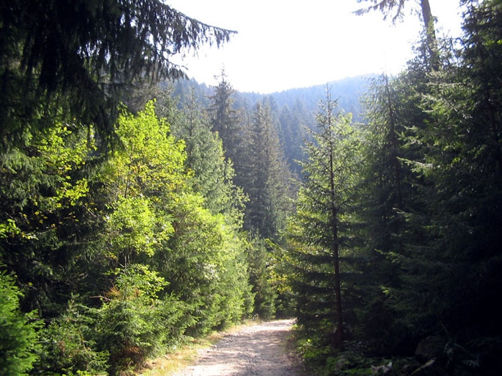Gledka v Rila planina