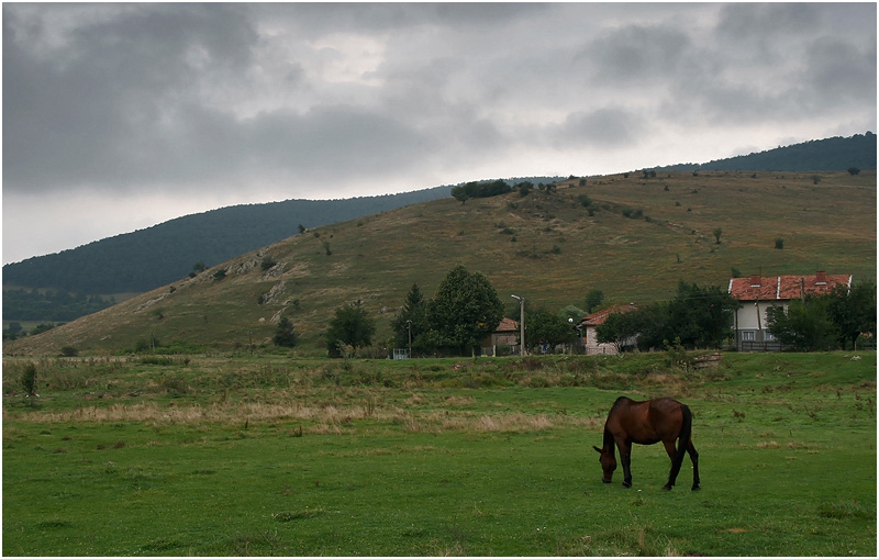 Горно Камарци