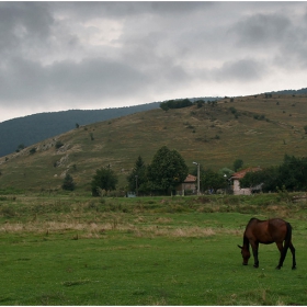 Горно Камарци