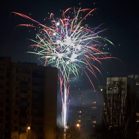 Новата 2006 - 3