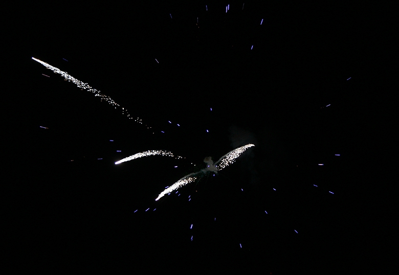Птицата на 2006