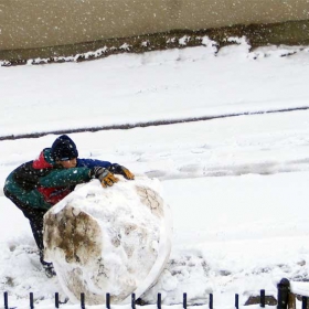 SnowBall