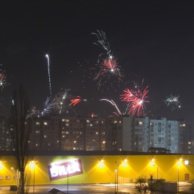 Новата 2006